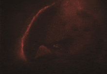 a close up of an angry bird with red eyes