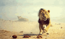 Lion Glitch Tech GIF