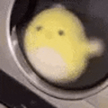 a yellow stuffed animal is sitting in a washer and dryer .