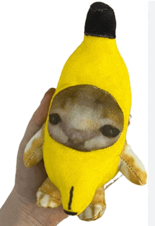 Banana Cat Bailando GIF - Banana Cat Bailando GIFs