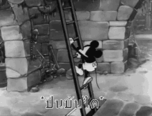 ladder climb