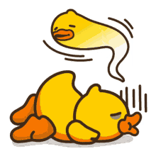 rubber duck sleeping