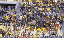Steelers Fans GIF - Steelers Fans Matt Canada GIFs