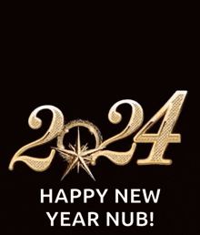 2024 Happy New Year 2024 GIF