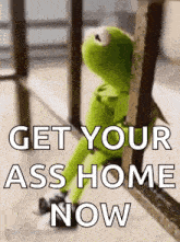 kermit the frog is sitting on a railing with the words `` get your ass home now '' written on it .