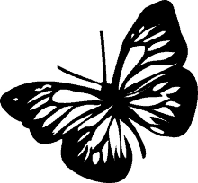 butterfly black butterfly insect art