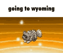 Going To Wyoming Zigzagoon GIF - Going To Wyoming Wyoming Zigzagoon GIFs