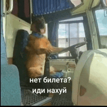 a german shepherd is driving a bus in russian