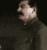 a man with a mustache is wearing a military uniform