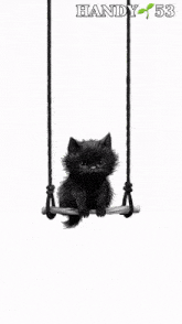 a black cat is sitting on a swing with handy 53 on the bottom right