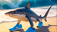 a shark wearing a pair of blue nike shoes