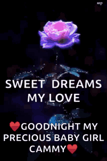 Good Night Sweet Dreams GIF