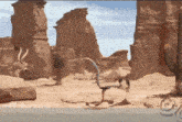 a cartoon drawing of a coyote and a cactus in the desert
