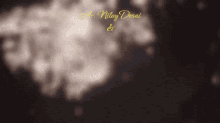 Diwali Nilay GIF - Diwali Nilay Geneza GIFs