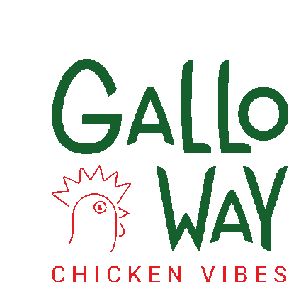 Galloway Galletto Sticker - Galloway Galletto Cockerel Stickers