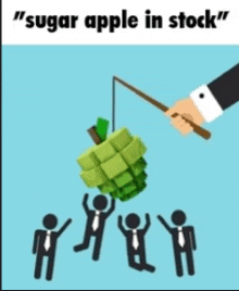 a group of people are fishing for a sugar apple