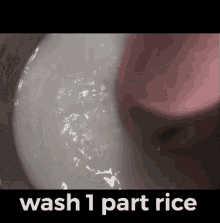 Wash1part Rice Rice GIF
