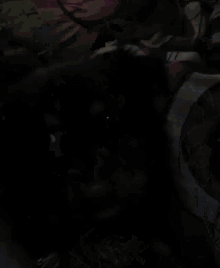 a black cat is laying on a bed with a blanket on it