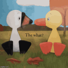 Duck And Goose What GIF - Duck And Goose Duck Goose GIFs