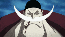 a man with a large white mustache and a black hat