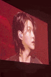 a close up of a person 's face on a screen with a red background