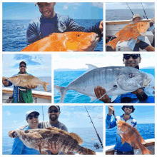 private overnight reef fishing coral coast charters whitsundays
