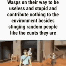 wasps on their way to be useless and stupid and contribute nothing to the environment besides stinging random people like the cunts they
