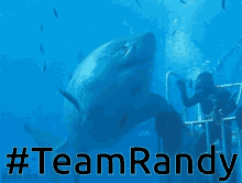 Team Randy GIF - Team Randy Team Randy GIFs