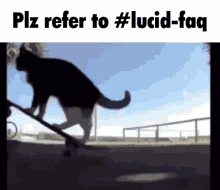 Plz Refer To Lucid Faq Luciddreaming GIF - Plz Refer To Lucid Faq Luciddreaming Dreamcafé GIFs