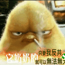 a cartoon chicken is smoking a cigarette and has chinese writing on it