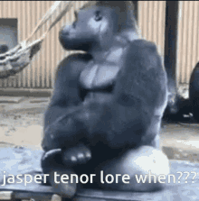 Tenor Lore Lore GIF - Tenor Lore Lore Gorilla GIFs