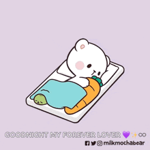 a cartoon of two teddy bears laying next to each other with the words " goodnight my forever lover " at the bottom