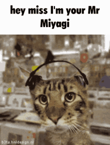 Mr Miyagi Kanye West GIF - Mr Miyagi Kanye West Hey Miss Im Your Mr Miyagi GIFs