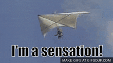 Sensation Im A Sensation GIF - Sensation Im A Sensation Tommy GIFs