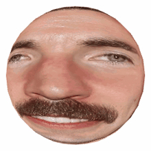 a close up of a man 's face with a mustache and beard