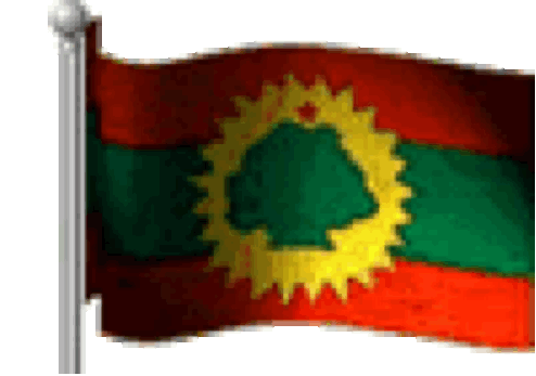 Alaabaa Oromoo Flag Sticker - Alaabaa Oromoo Flag Waving Stickers