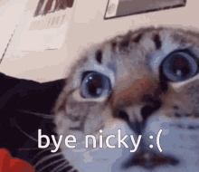 Bye Bye Nicky GIF