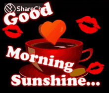 Good Morning Sunshine Sunshine GIF - Good Morning Sunshine Sunshine Coffee GIFs