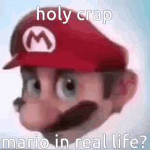Mario Mario Irl GIF - Mario Mar Mario Irl GIFs