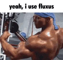 Fluxus Roblox Exploit GIF