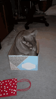 Its My Birthday Post Cat In A Box GIF