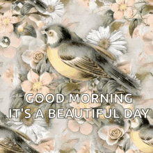 Good Morning Its A Beautiful Day GIF - Good Morning Its A Beautiful Day Bird GIFs