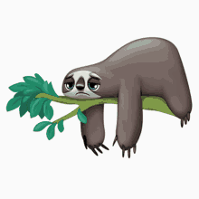 sloth being lazy sad