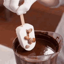 Chocolate Icecream GIF