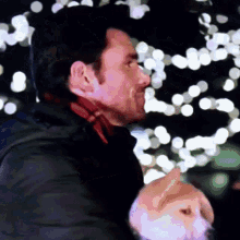 Kevinmcgarry Dog GIF - Kevinmcgarry Dog Puppy GIFs