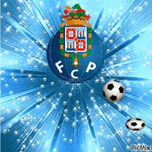 a picture of a soccer ball with the letters fc p on it