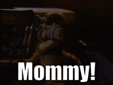 Alf Mommy GIF - Alf Mommy Mom GIFs