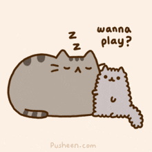 Fat Cat Sleeping GIF - Fat Cat Sleeping Wanna Play GIFs