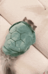 a cat is wearing a turtle costume on a bed