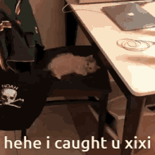 xiyo xiyo kitty miyo